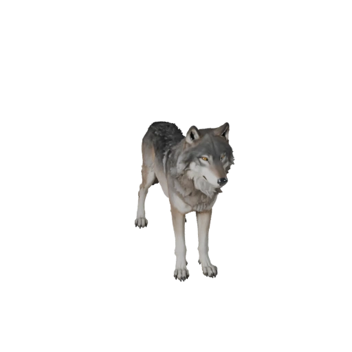 High Poly Gray Wolf 3D Model - Detailed STL Asset for Printing