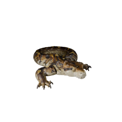 Low Poly Reticulated Python 3D Model - Unity Game Asset with FBX