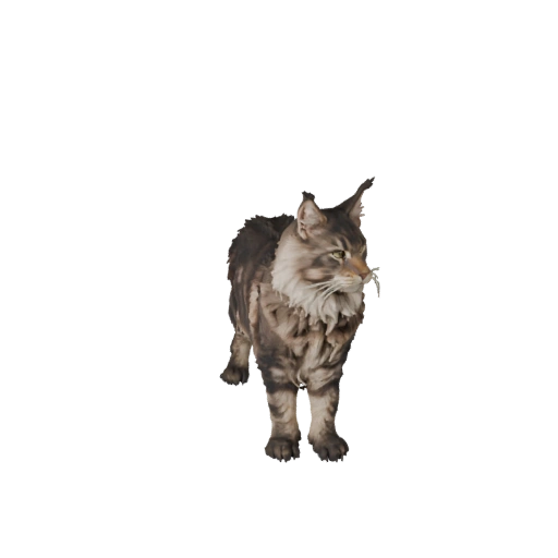 Maine Coon 3D Model for Unity - Game Ready Asset, FBX | Royalty-Free