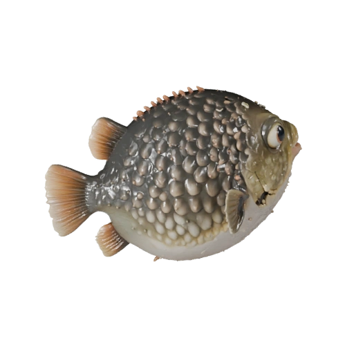 Pufferfish 3D Model for Blender - PBR Asset with Textures | PBR