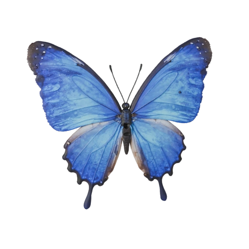 Blue Morpho Butterfly 3D Model for Blender - PBR Asset with Textures