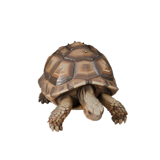 Low Poly Desert Tortoise 3D Model - Unity Game Asset with FBX