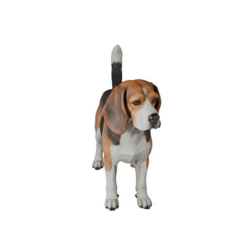 Beagle Dog 3D Model for Unity - Game Ready Asset, FBX | Royalty-Free