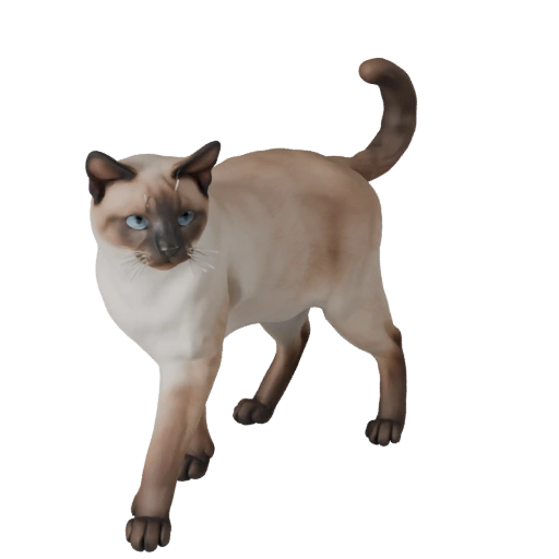 Birman Cat 3D Model for Unity - Game Ready Asset, FBX | Royalty-Free