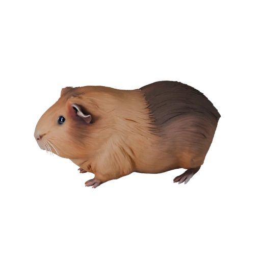 High Poly Guinea Pig 3D Model - Detailed STL Asset for Printing