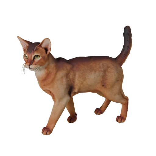 Modelo 3D Realista de Gato Abisinio - Asset PBR Rigged para Juegos