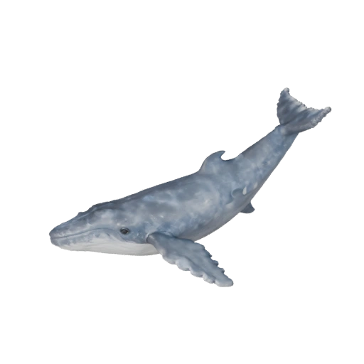 Modelo 3D Realista de Baleia Azul - Ativo PBR Rigged para Jogos