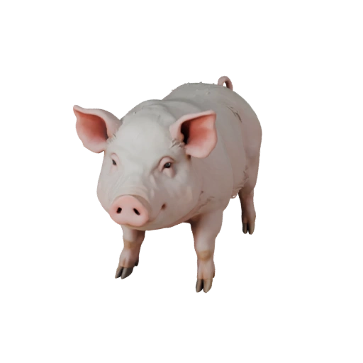 Pig 3D Model for Unity - Game Ready Asset, FBX | Royalty-Free