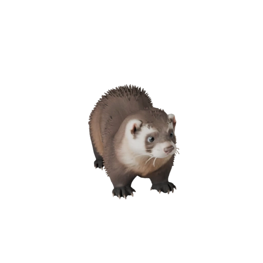 Ferret 3D Model for Unity - Game Ready Asset, FBX | Royalty-Free