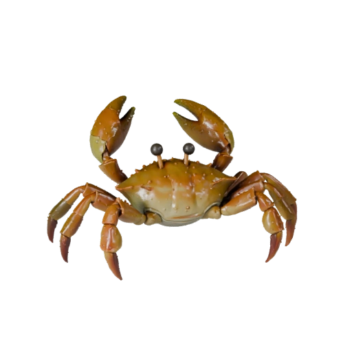 Cartoon Crab 3D Model - Stylized Asset for Animation | Royalty-Free