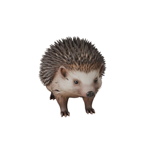 Realistic Hedgehog 3D Model - Rigged PBR Asset for Games | PBR