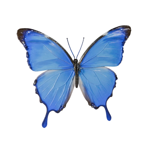 Realistic Blue Morpho Butterfly 3D Model - PBR Asset fors | PBR