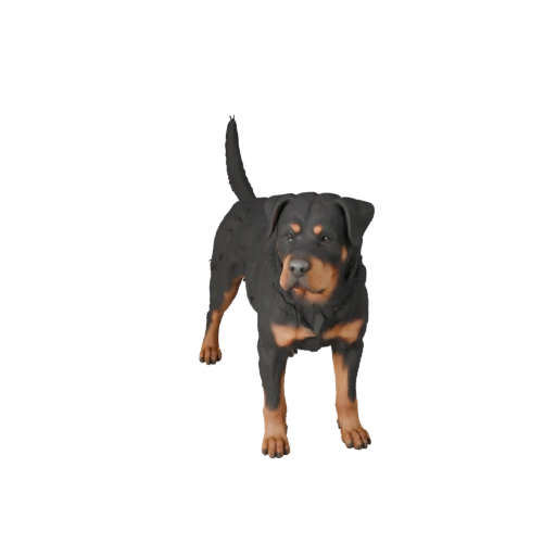 Rottweiler Dog 3D Model for Blender - PBR Asset with Textures