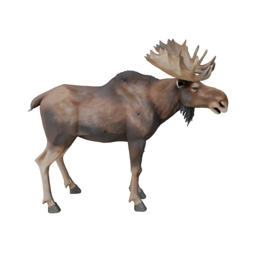 Low Poly Moose 3D Model - Unity Game Asset with FBX | Royalty-Free