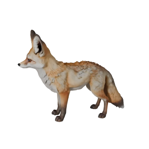 Modelo 3D realista de zorro fennec - Activo PBR rigged para juegos