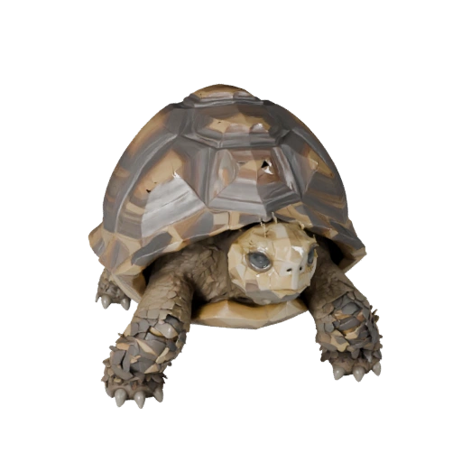 Low Poly Tortoise 3D Model - Unity Game Asset with FBX | PBR