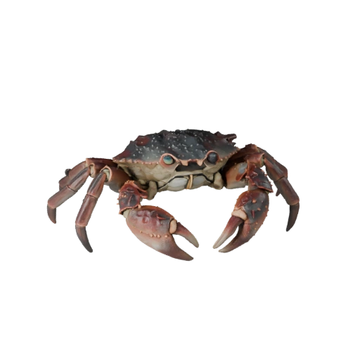 High Poly Crab 3D Model - Detailed STL Asset for Printing | PBR