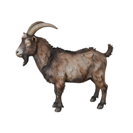Modelo 3D de Cabra Realista - Recurso PBR Rigged para Juegos | Libre de Regalías