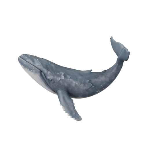 Modelo 3D Baleia Azul para Blender - Asset PBR com Texturas | PBR