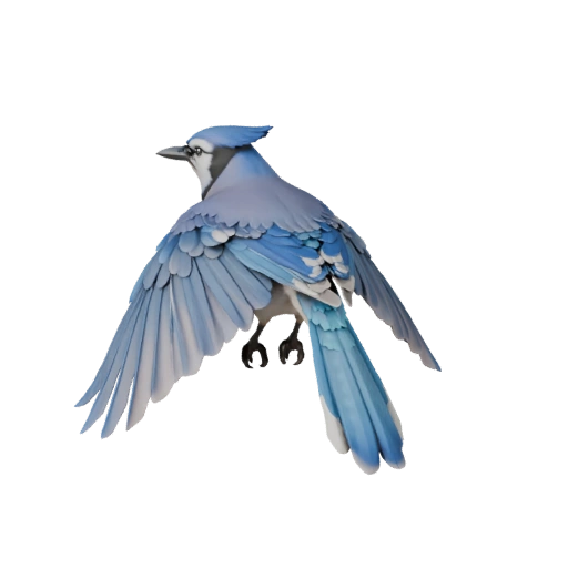 Modèle 3D de Geai Bleu pour Blender - Asset PBR avec Textures | PBR