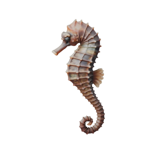Hohe Poly Seepferdchen 3D-Modell - Detailliertes STL-Asset für den Druck
