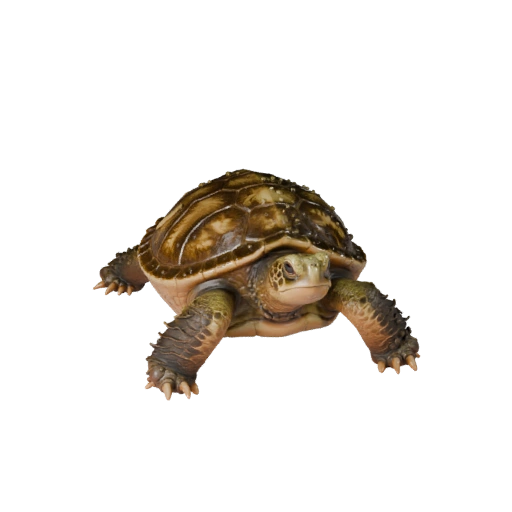 Realistic Snapping Turtle 3D Model - Rigged PBR Asset for Games