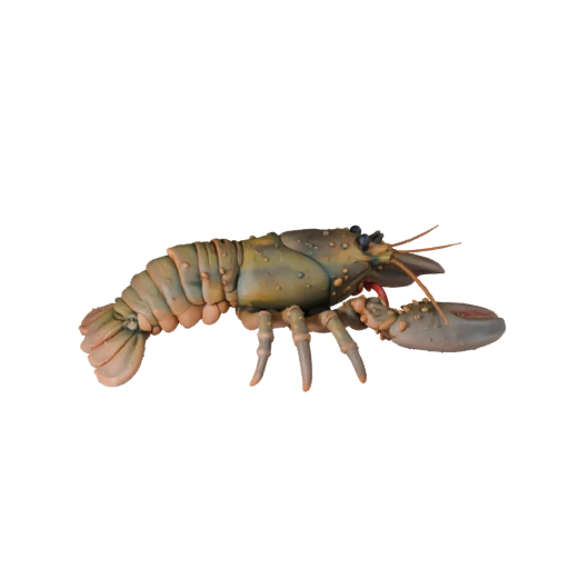 High Poly Lobster 3D Model - Detailed STL Asset for Printing