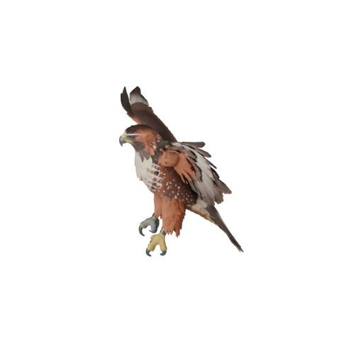 High Poly Red Tailed Hawk 3D Model - Detailed STL Asset for Printing