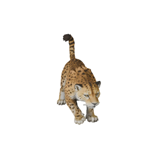 Cheetah 3D Model for Unity - Game Ready Asset, FBX | Royalty-Free