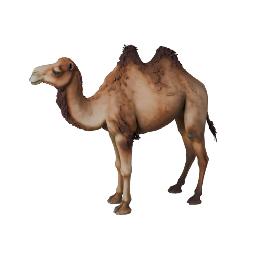 Modelo 3D de Dromedário para Unity - Asset Pronto para Jogo, FBX