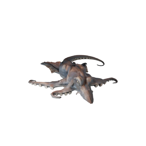 Modelo 3D de Pulpo Realista - Recurso PBR Rigged para Juegos | PBR