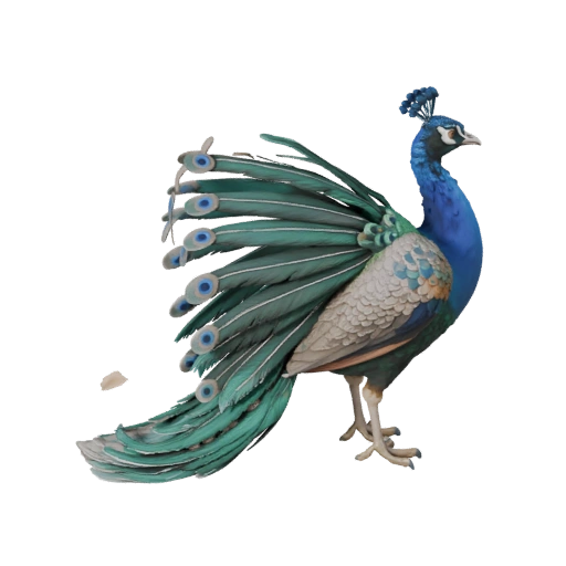Modelo 3D de Pavo Real para Unity - Asset Listo para Juego, FBX | Libre de Regalías