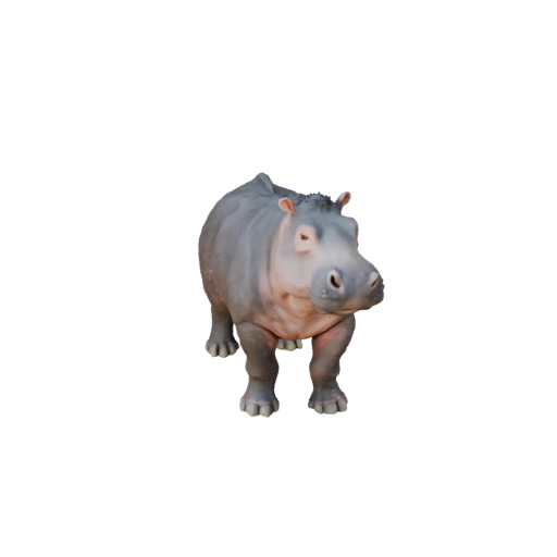 Hippo 3D Model for Blender - PBR Asset with Textures | Royalty-Free