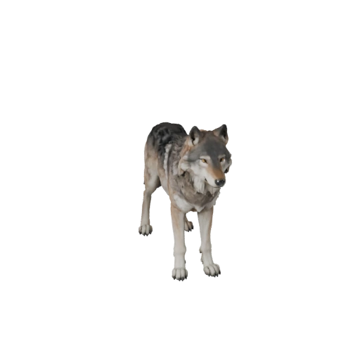 Wolf 3D Model for Blender - PBR Asset with Textures | Royalty-Free