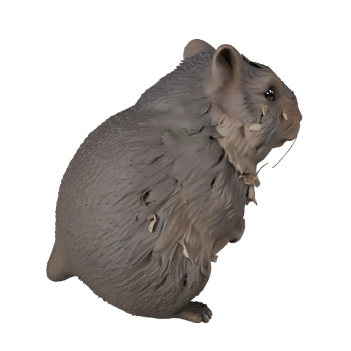 Low Poly Chinchilla 3D Model - Unity Game Asset with FBX | PBR
