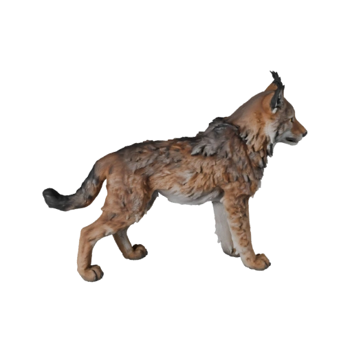 Realistischer Luchs 3D-Modell - Rigged PBR Asset für Spiele | Lizenzfrei