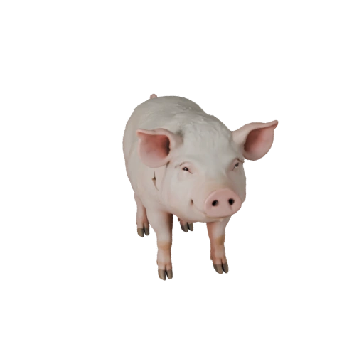 Modelo 3D de Cerdo Realista - Activo PBR Rigged para Juegos | Libre de Regalías