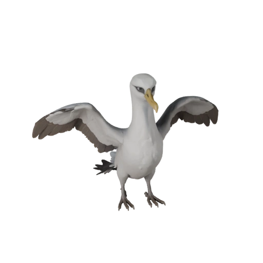 Modèle 3D Albatros Réaliste - Actif PBR Riggé pour Jeux | PBR