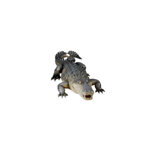 Modèle 3D d'Alligator pour Blender - Asset PBR avec Textures | PBR
