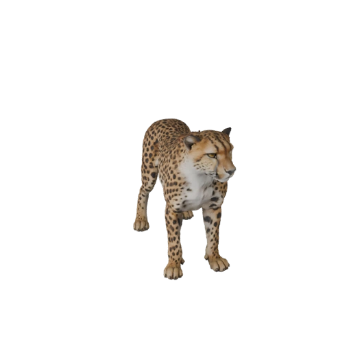 Realistic Cheetah 3D Model - Rigged PBR Asset for Games | PBR