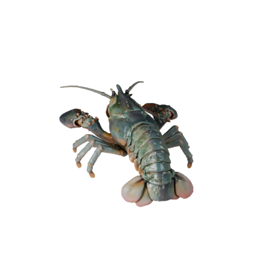 Lobster 3D Model for Blender - PBR Asset with Textures | PBR