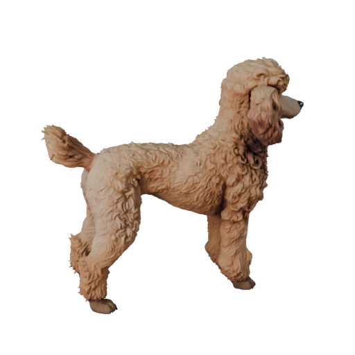 Poodle Dog 3D Model for Blender - PBR Asset with Textures | PBR