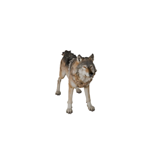 Wolf 3D Model for Unity - Game Ready Asset, FBX | Royalty-Free