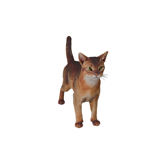 Modelo 3D de Gato Abisinio para Blender - Recurso PBR con Texturas