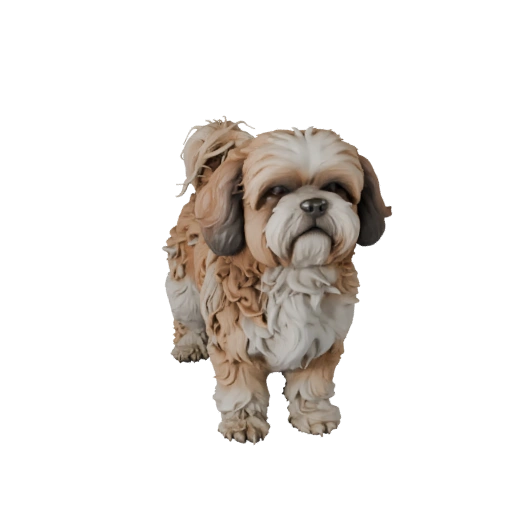 Realistic Shih Tzu Dog 3D Model - Rigged PBR Asset for Games
