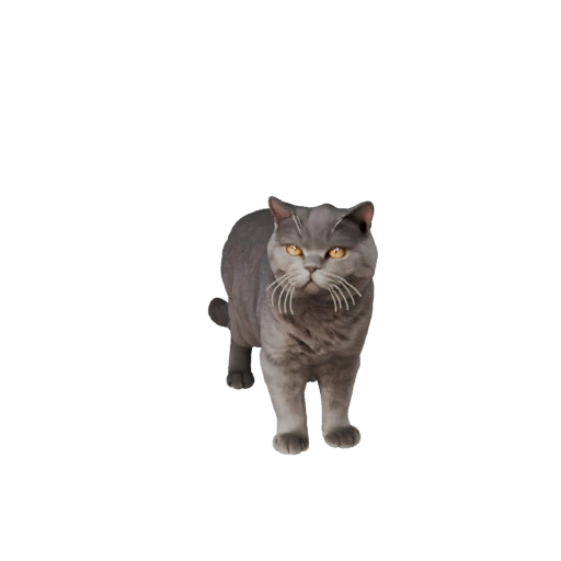 Realistic British Shorthair 3D Model - Rigged PBR Asset for Games