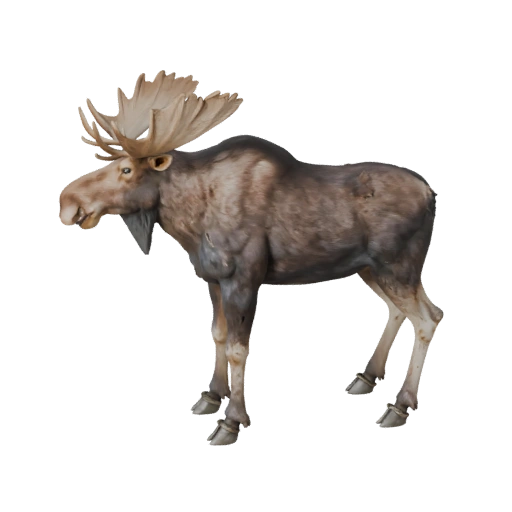 Realistic Moose 3D Model - Rigged PBR Asset for Games | Royalty-Free