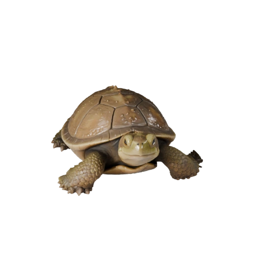 High Poly Snapping Turtle 3D Model - Detailed STL Asset for Printing