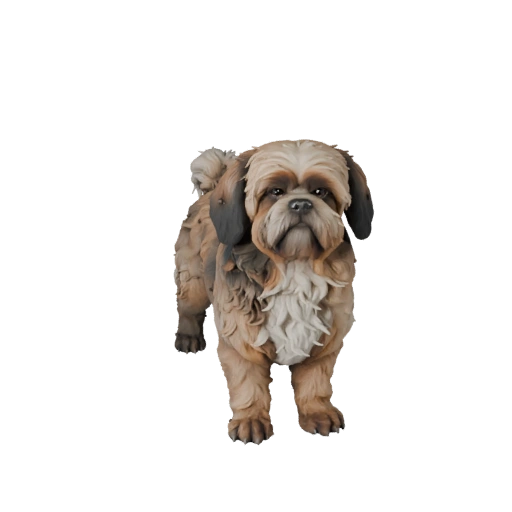 Shih Tzu Dog 3D Model for Blender - PBR Asset with Textures