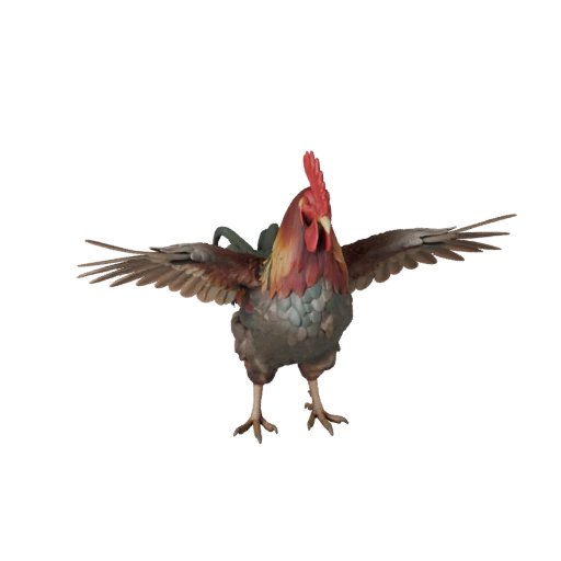 Realistic Rooster 3D Model - Rigged PBR Asset for Games | PBR